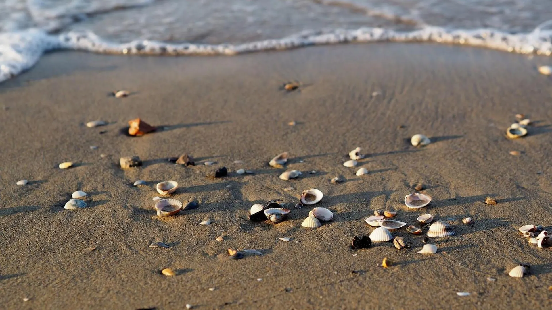 Intimate Seaside Studio Perfect For Relaxing Bibione 0*,  Italy